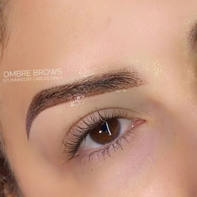 ombre-brows (21)