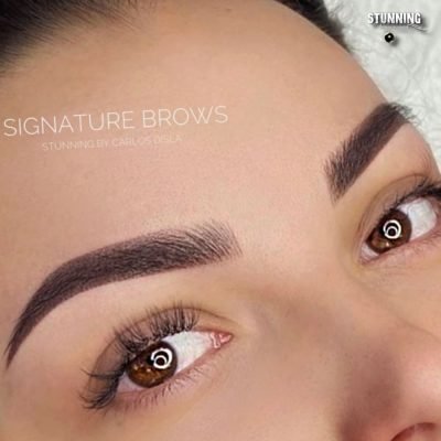 signature brows (1)