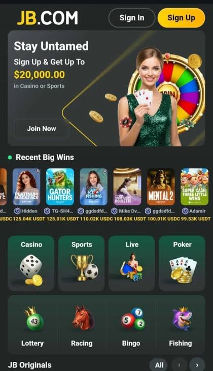 Explore JB Casino Platform The Future of Online Gaming