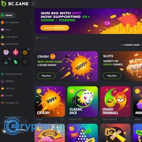 Understanding the BC.Game Login Process A Step-by-Step Guide -641848448